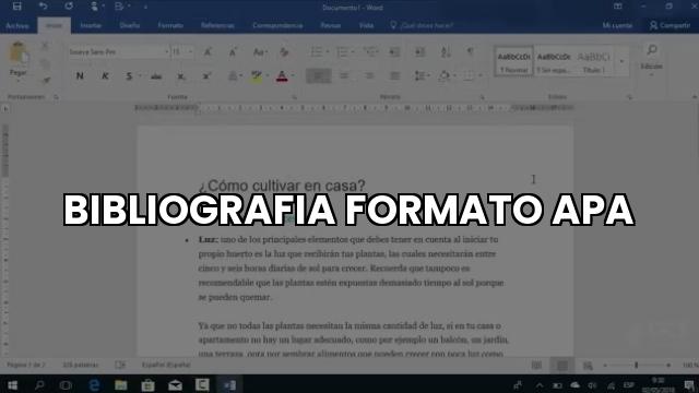 Bibliografía en formato APA